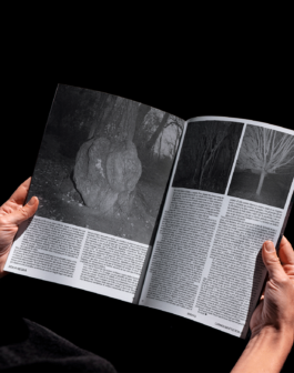 revista roca negra marta hernandez 