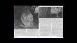 revista roca negra marta hernandez