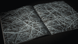 revista roca negra marta hernandez