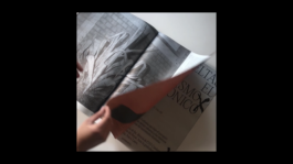 revista roca negra marta hernandez 